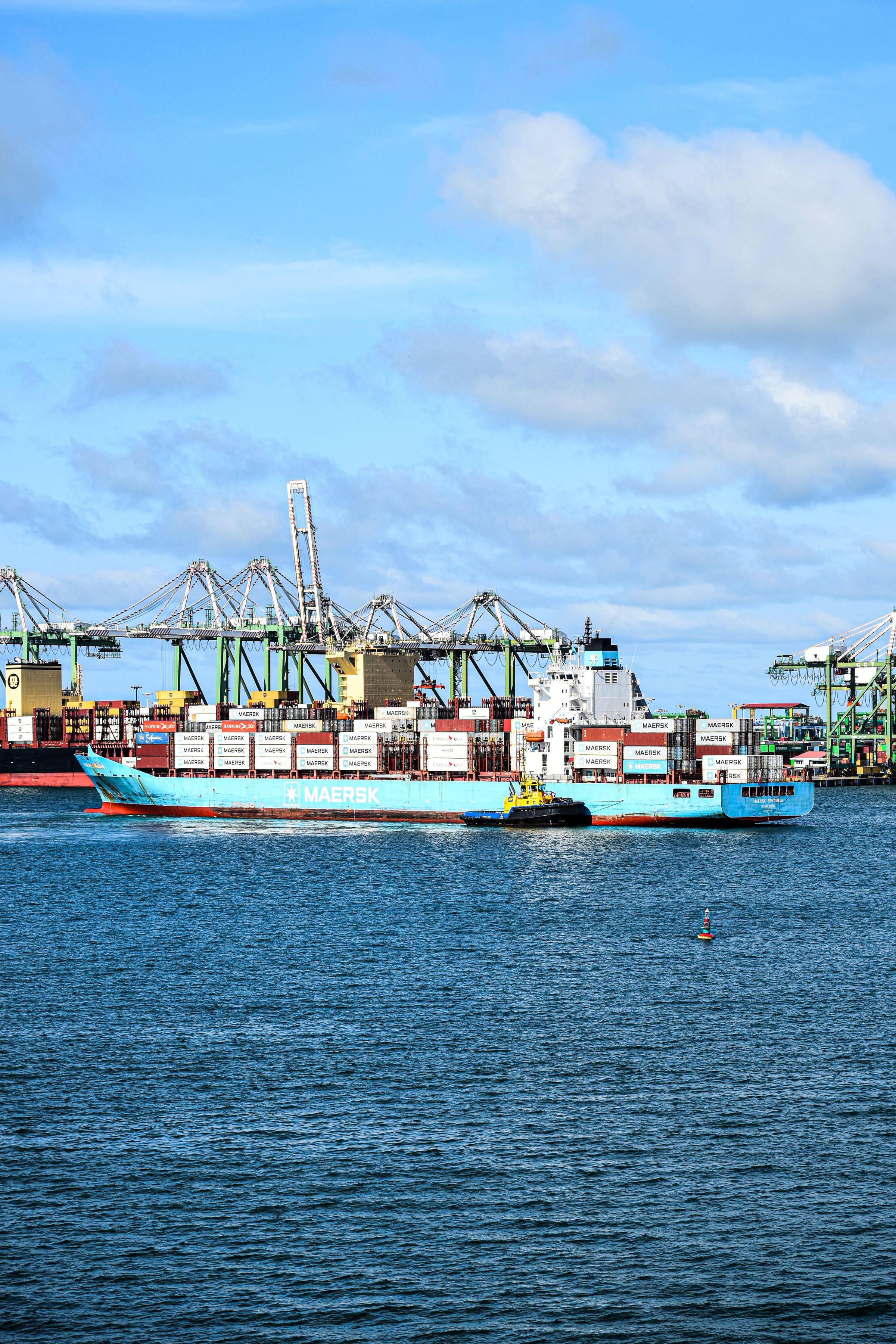 Container cranes and stacked shipping containers at a seaport terminal